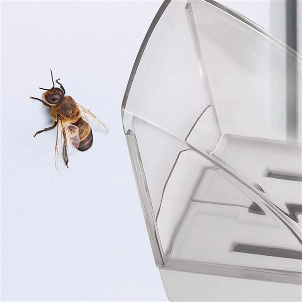 Insect Catcher Handheld