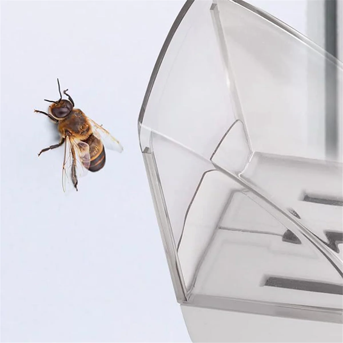 Insect Catcher Handheld